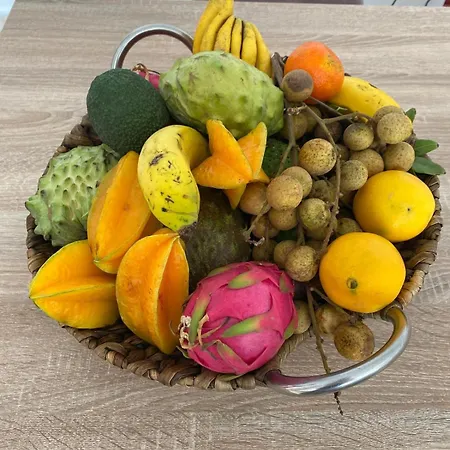 Ocean Sunset 빌라 산미겔데아보나