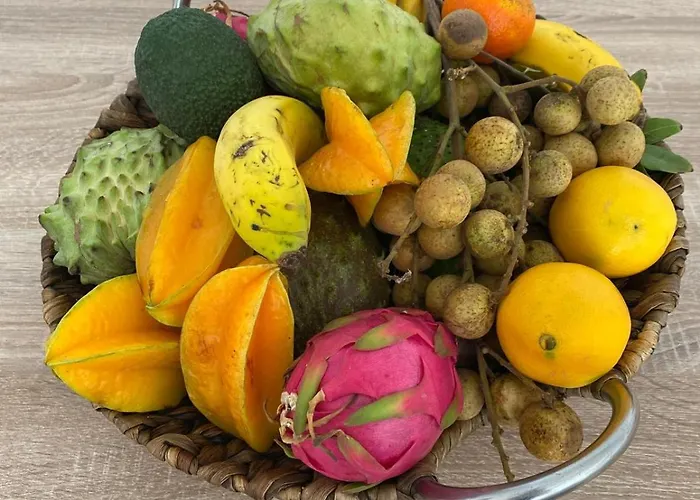 Ocean Sunset Villa San Miguel de Abona